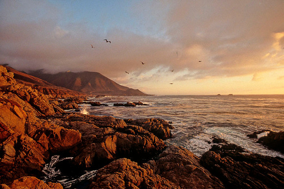 Big Sur Coastline - 1