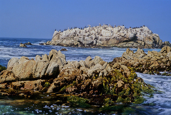 Rocky Shoreline at Low Tide - 2