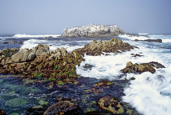 Rocky Shoreline at Low Tide - 1